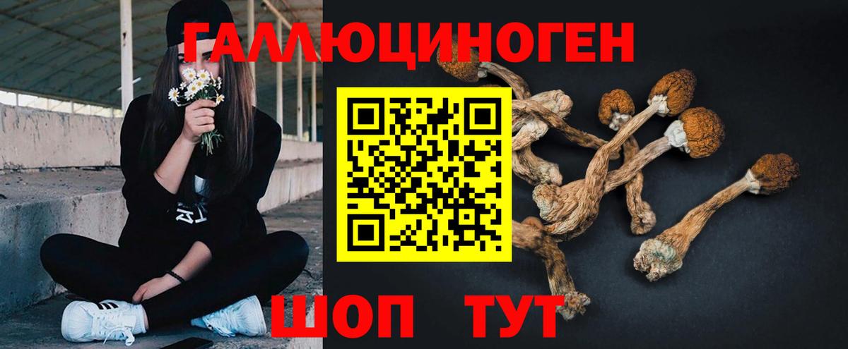 Псилоцибиновые грибы Magic Shrooms  купить наркотик  Вход с VPN  Ишим  Галлюциногенные грибы мицелий 